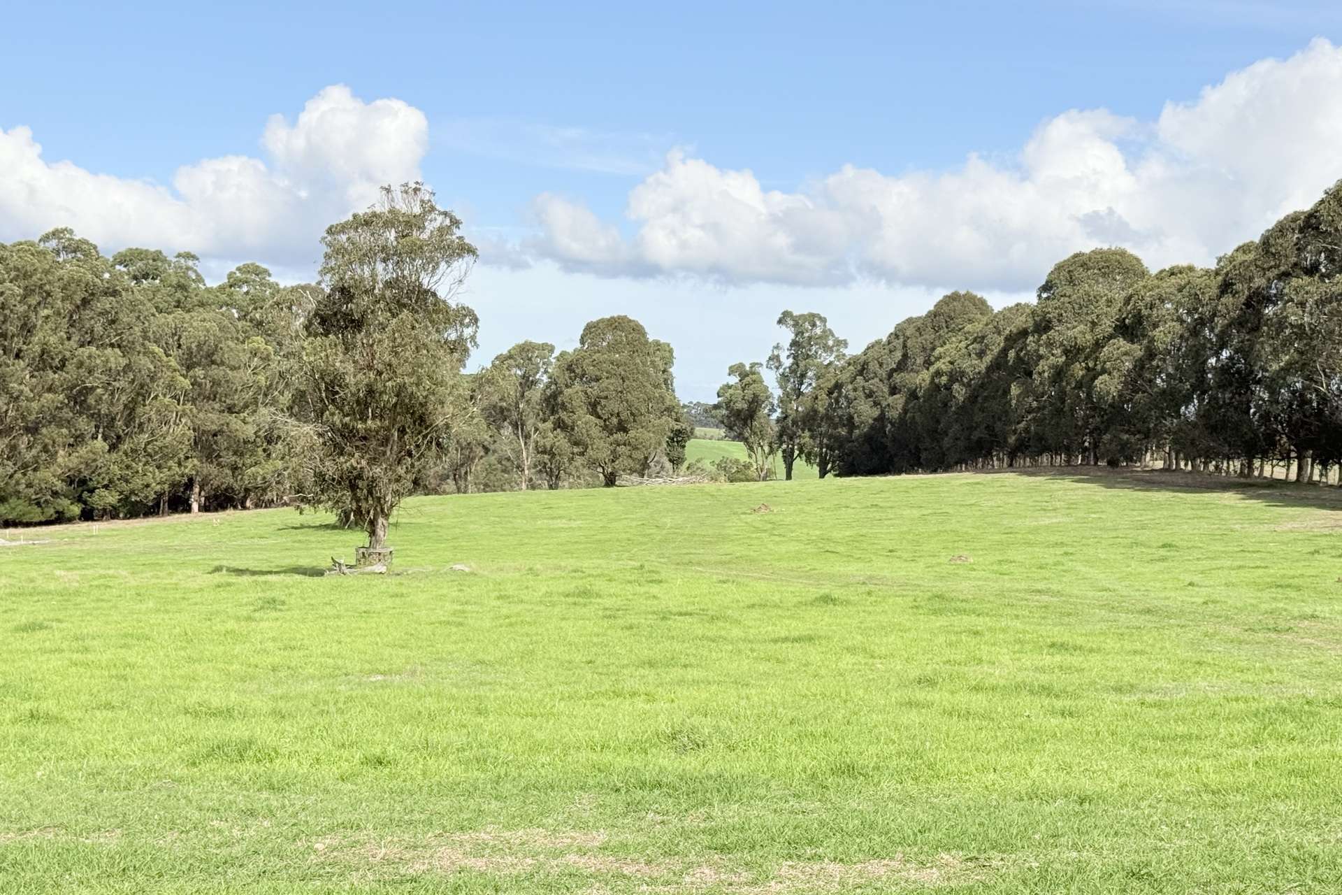 Lot 126,  Ajana Drive, Marbelup For Sale by Farmbuy.com - image 6