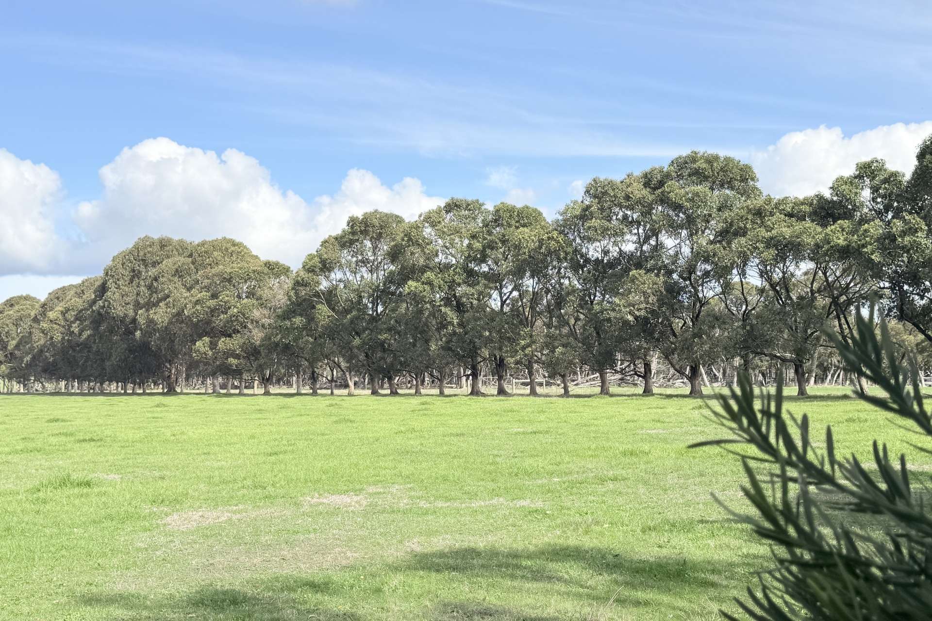 Lot 126,  Ajana Drive, Marbelup For Sale by Farmbuy.com - image 5