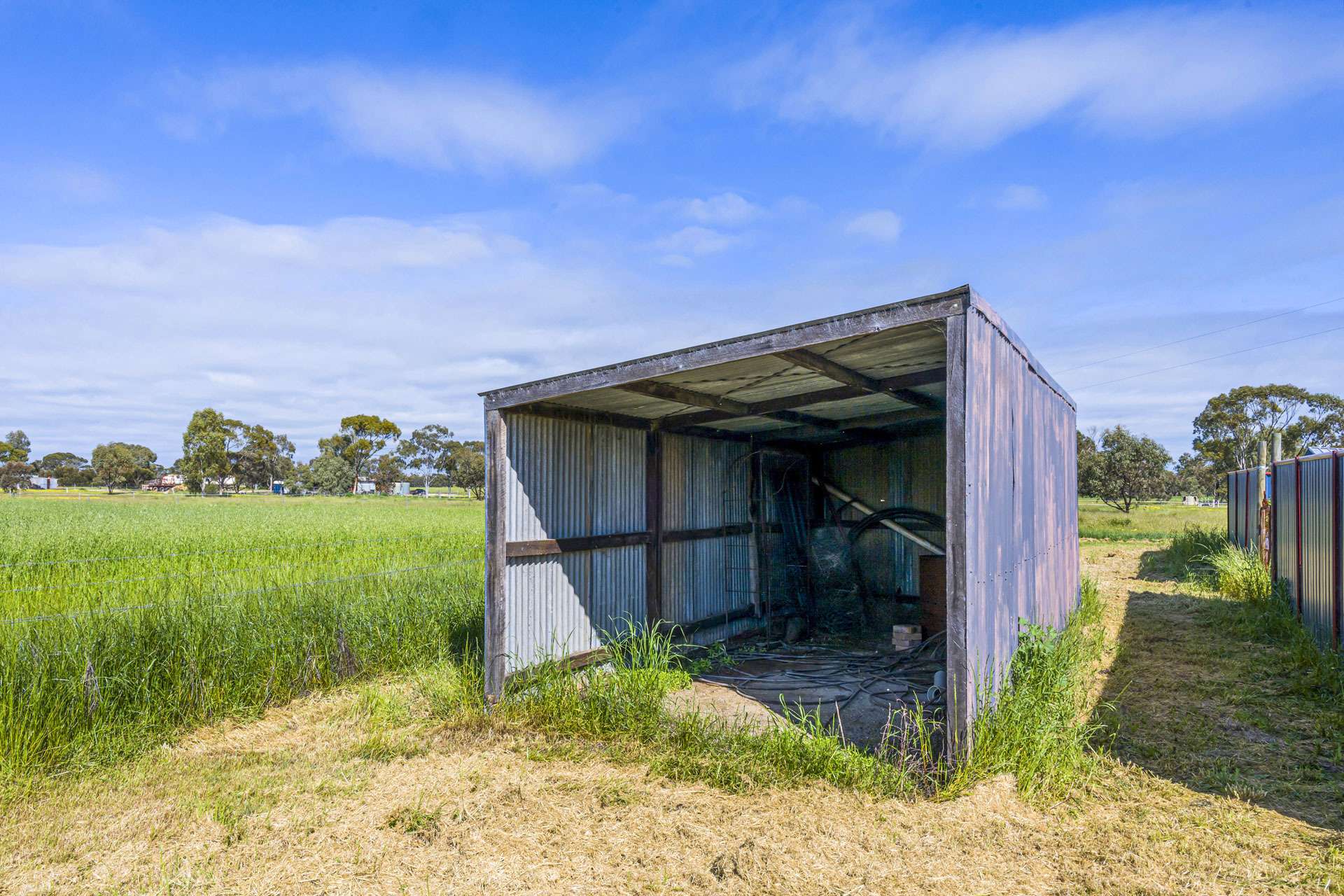 91 Cooper Street, Moora For Sale by Farmbuy.com - image 27