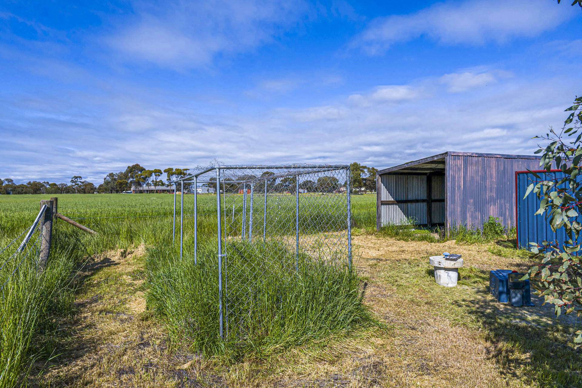 91 Cooper Street, Moora For Sale by Farmbuy.com - image 29