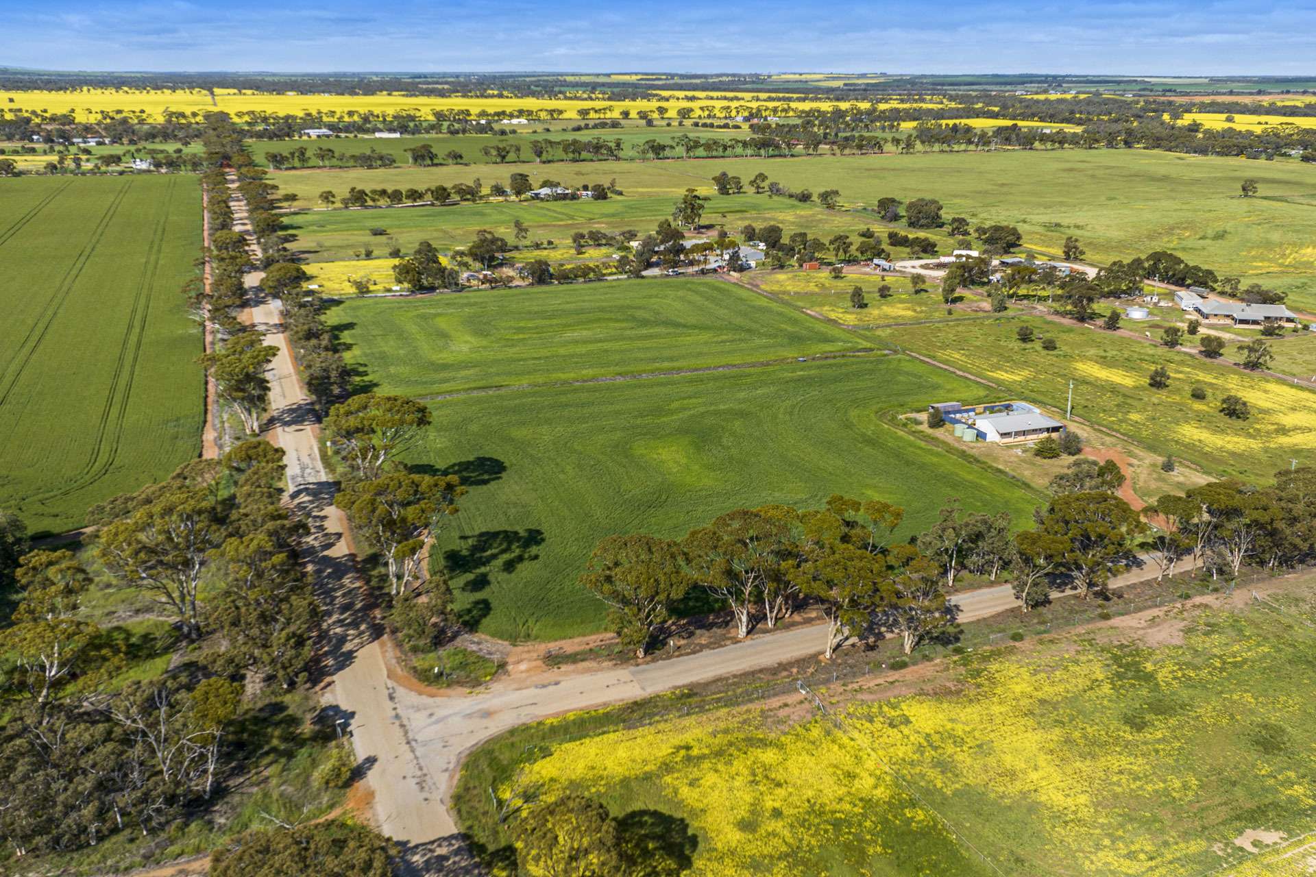 91 Cooper Street, Moora For Sale by Farmbuy.com - image 6