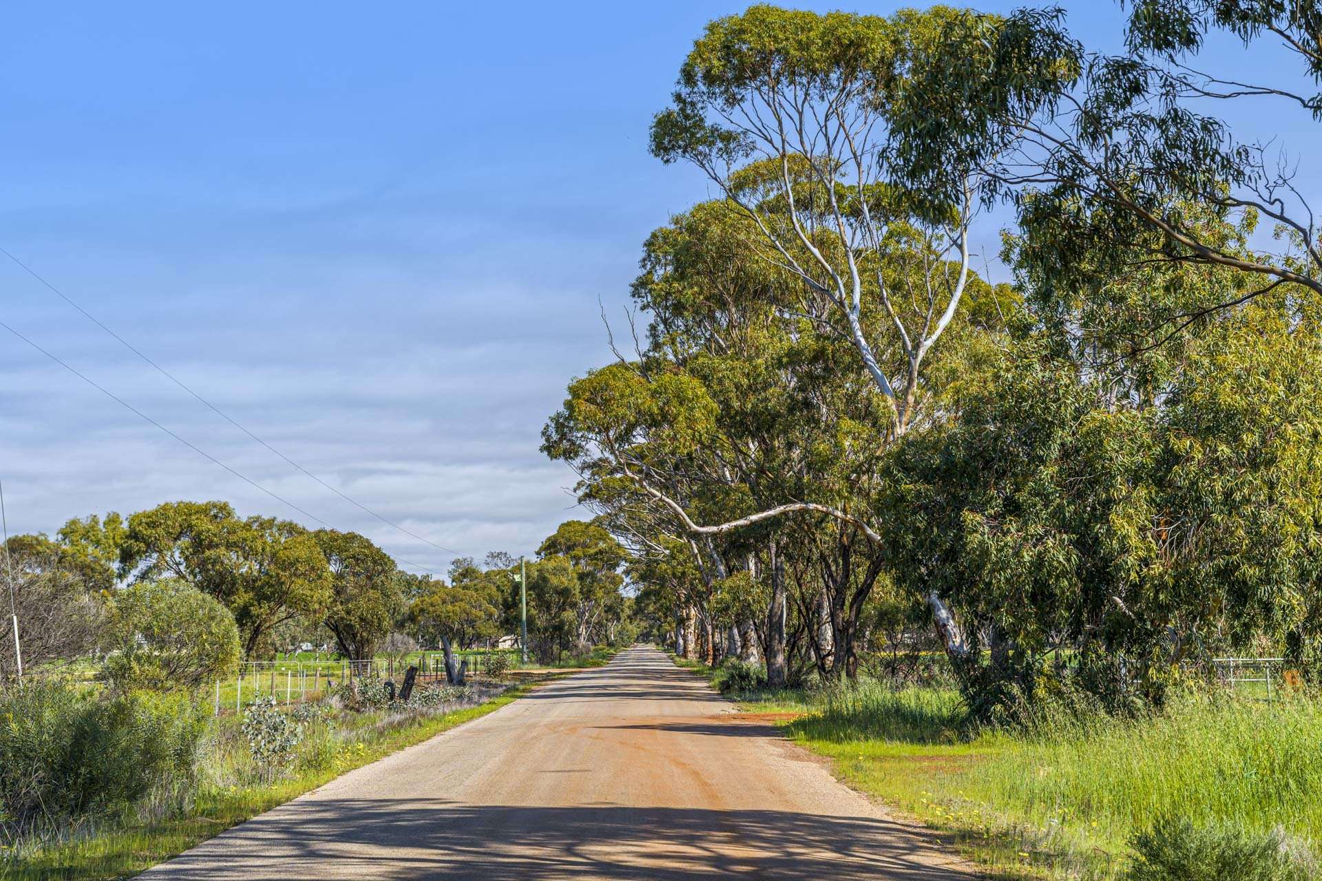 91 Cooper Street, Moora For Sale by Farmbuy.com - image 32