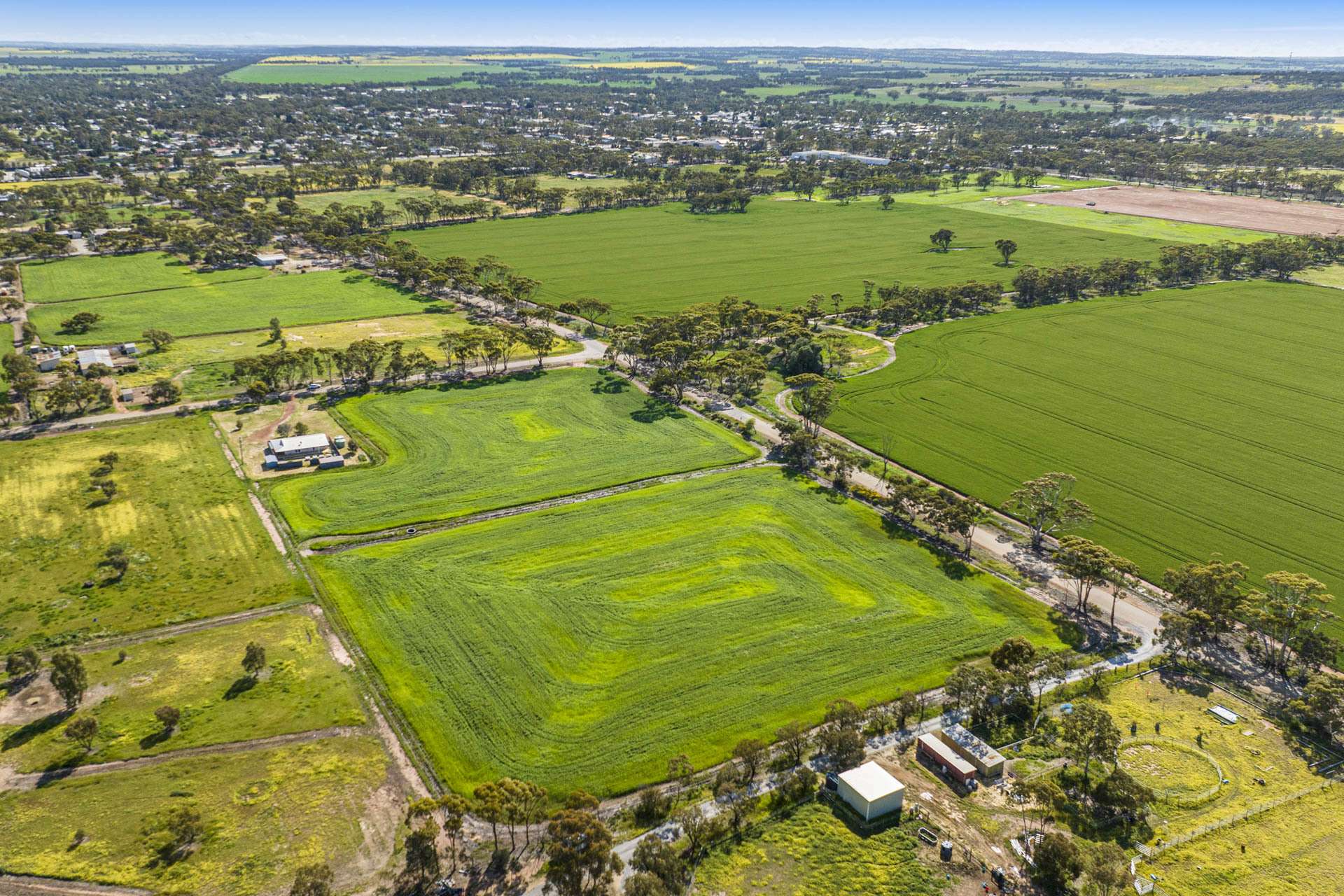 91 Cooper Street, Moora For Sale by Farmbuy.com - image 5