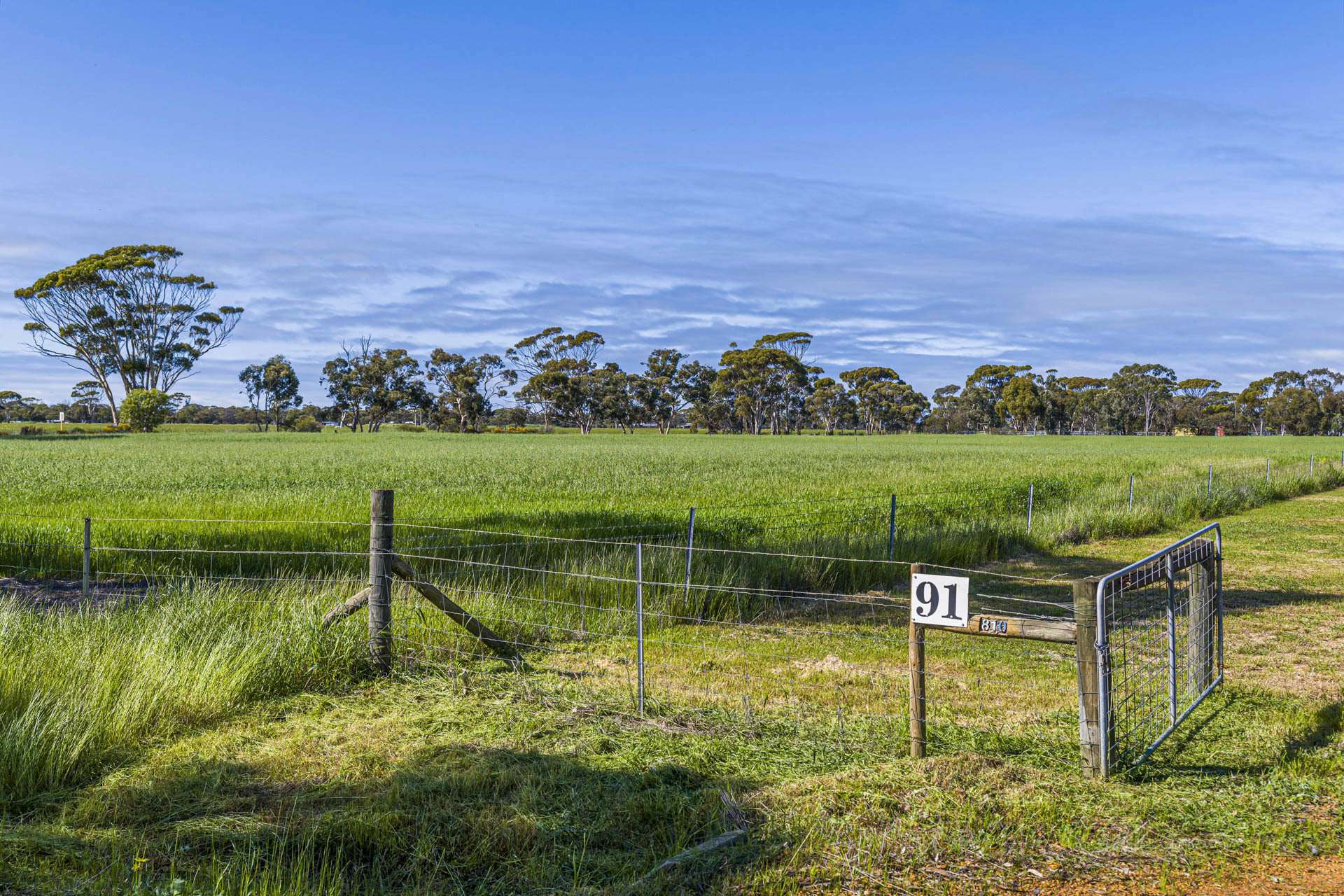91 Cooper Street, Moora For Sale by Farmbuy.com - image 31