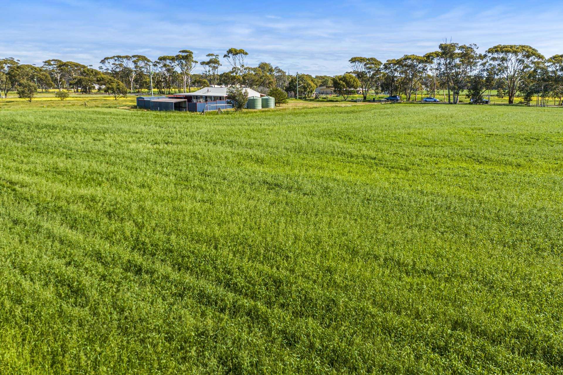 91 Cooper Street, Moora For Sale by Farmbuy.com - image 7