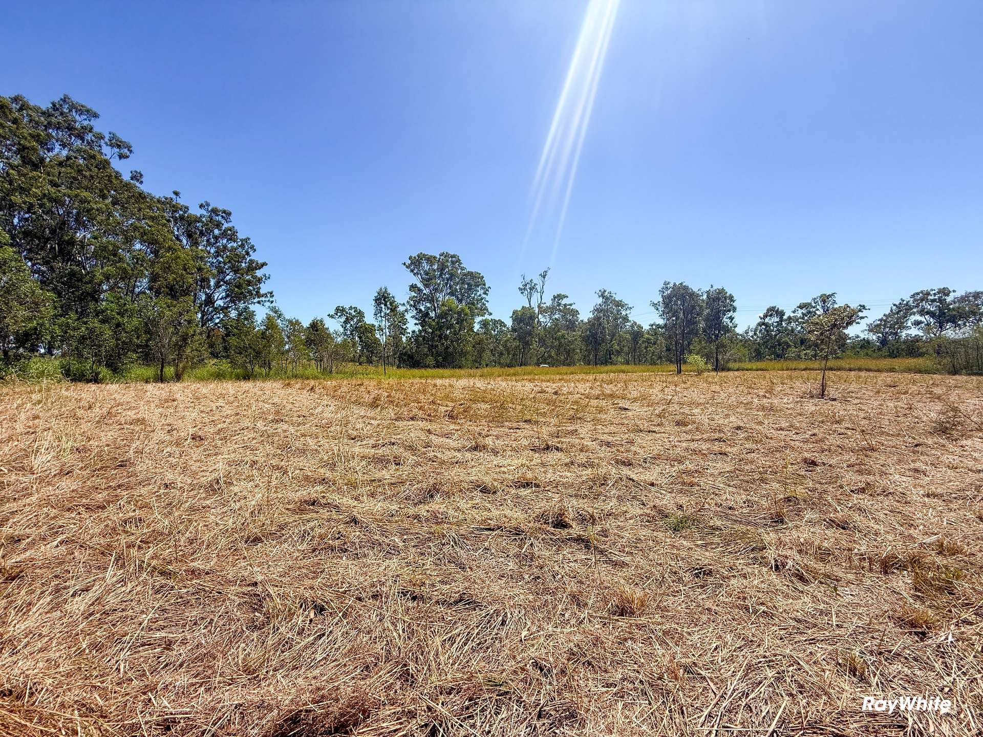 Lot 1,  Bruce Highway, Monduran For Sale by Farmbuy.com - image 3