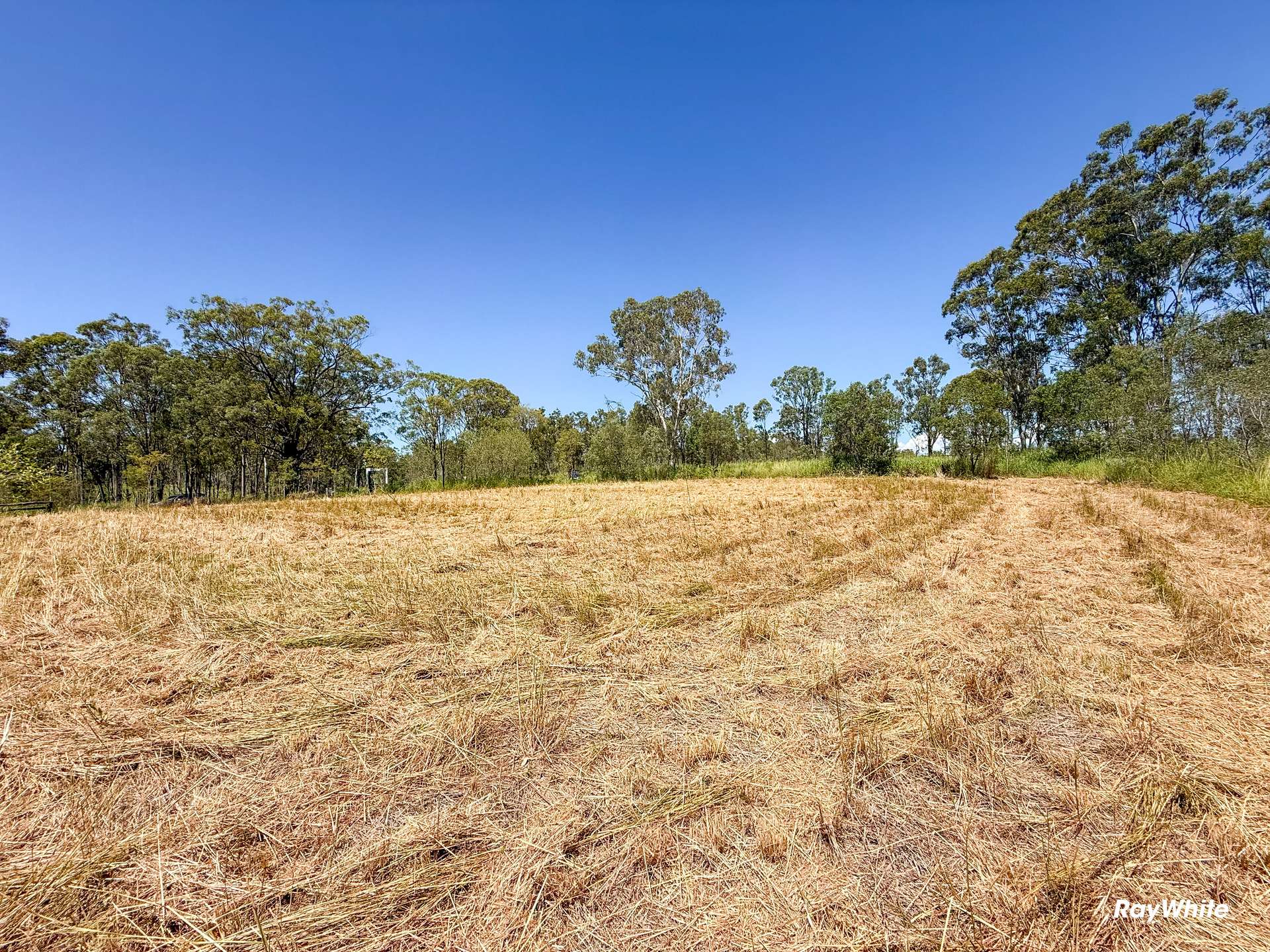 Lot 1,  Bruce Highway, Monduran For Sale by Farmbuy.com - image 4