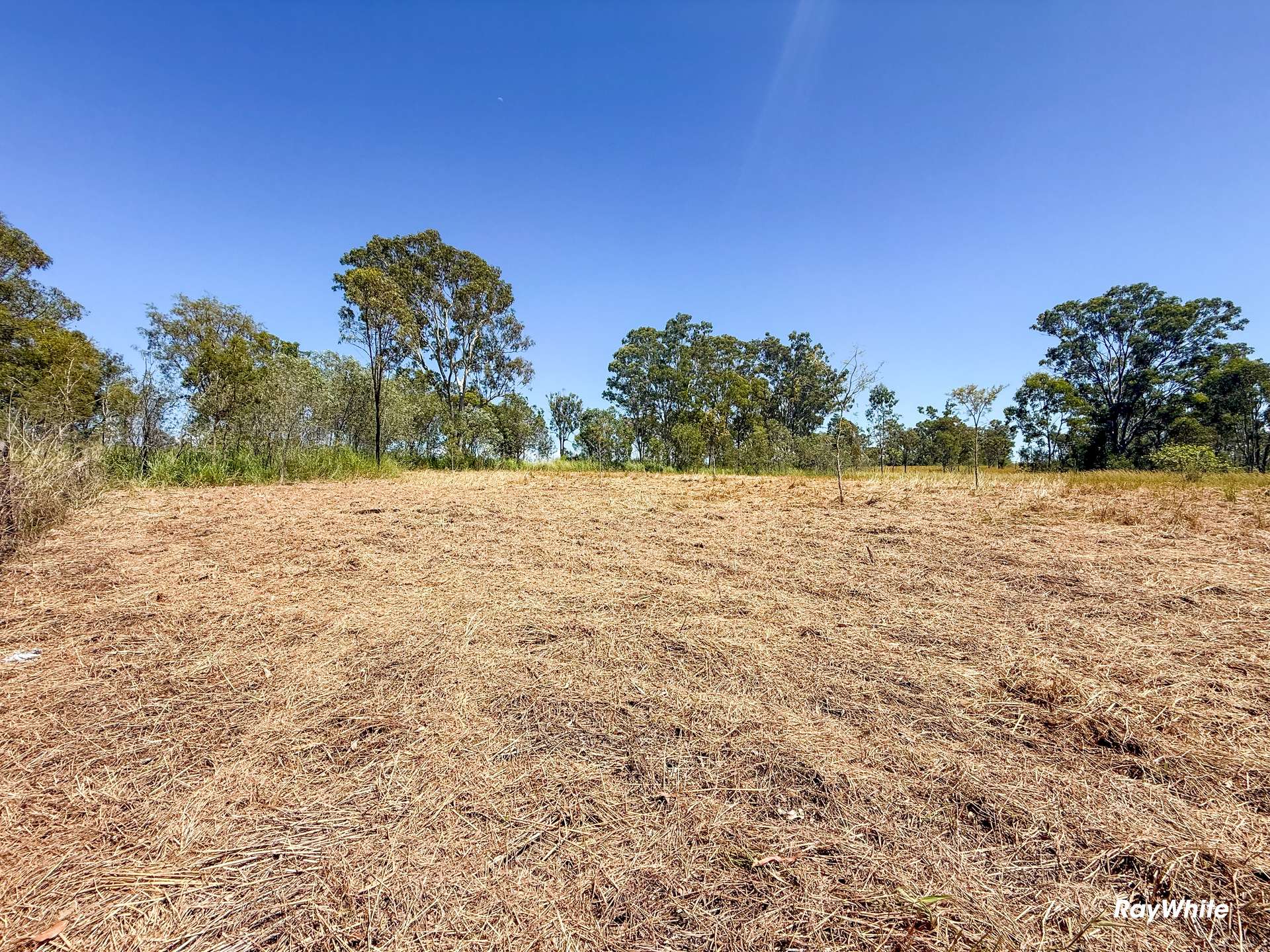 Lot 1,  Bruce Highway, Monduran For Sale by Farmbuy.com - image 1