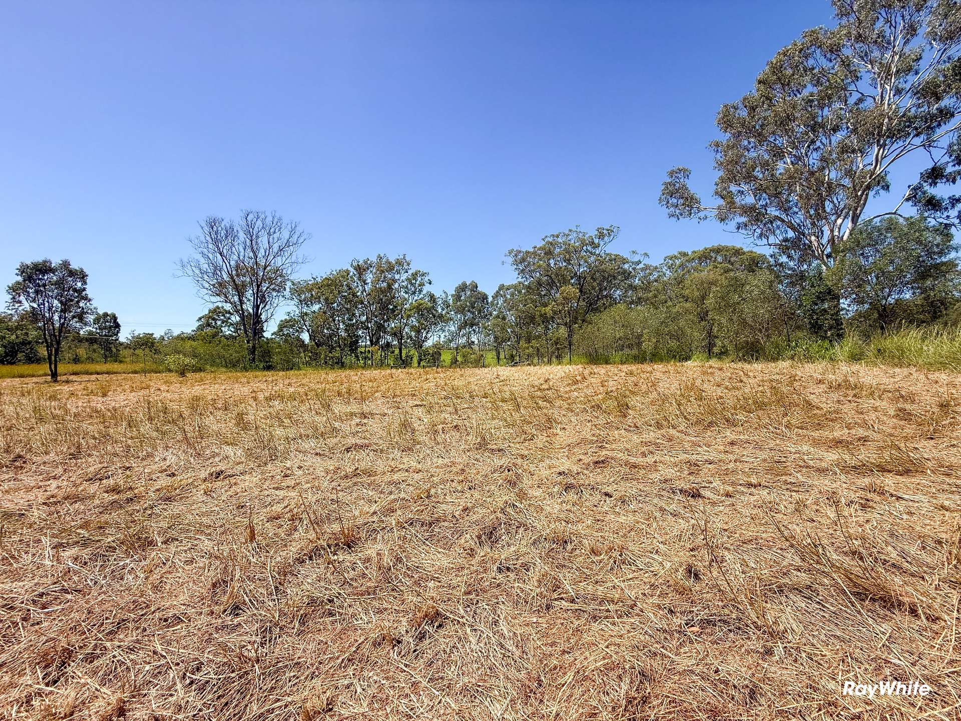 Lot 1,  Bruce Highway, Monduran For Sale by Farmbuy.com - image 2