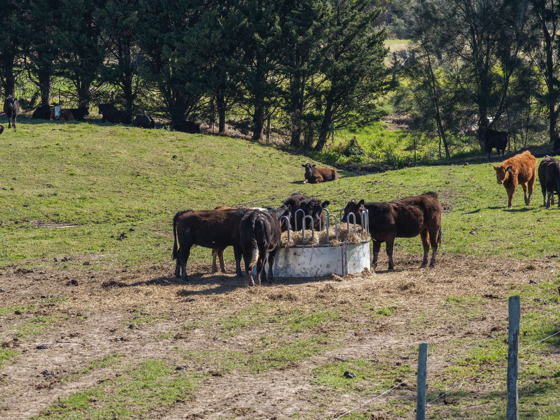 21 Croziers Road, Jaspers Brush For Sale by Farmbuy.com - image 32