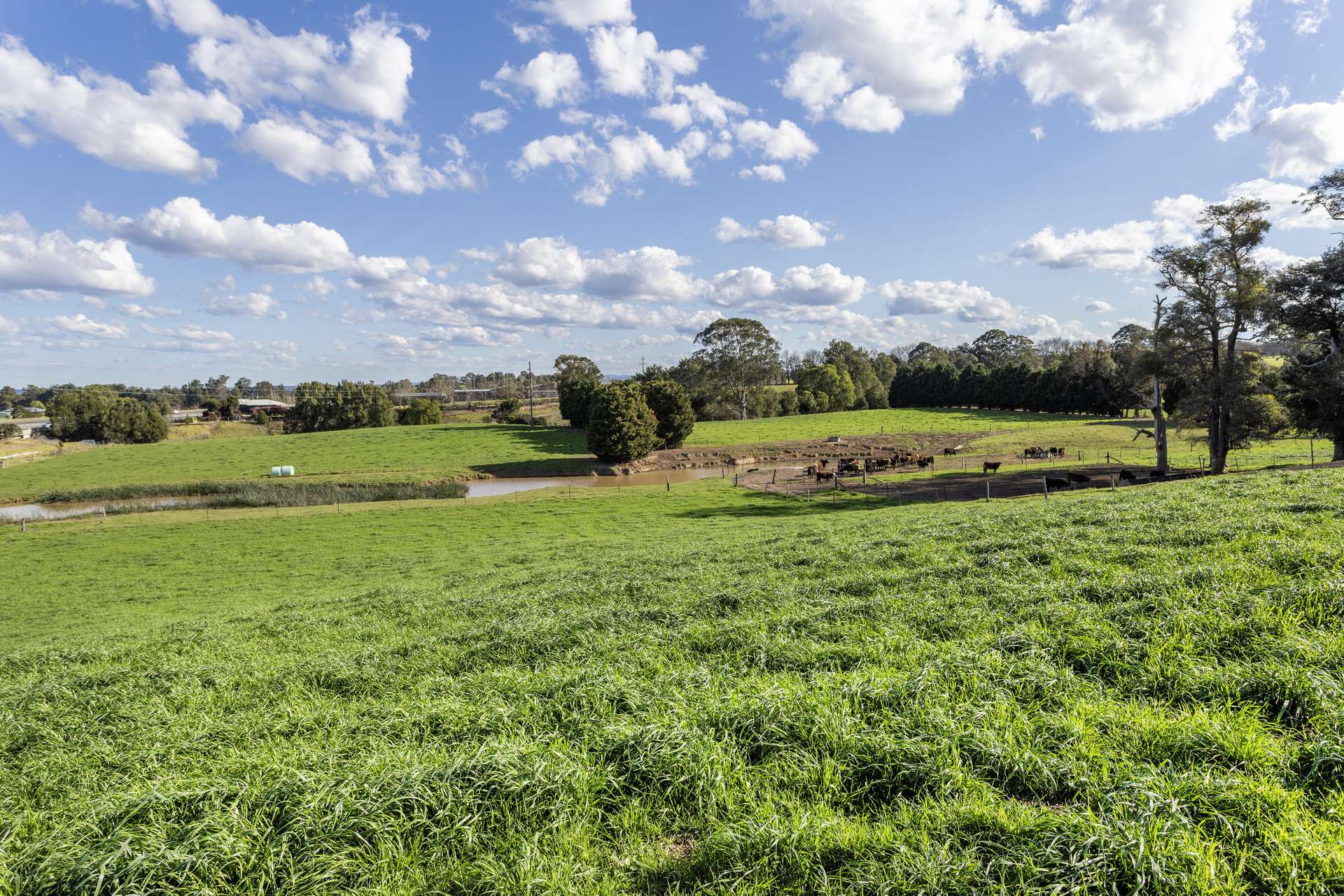 21 Croziers Road, Jaspers Brush For Sale by Farmbuy.com - image 25
