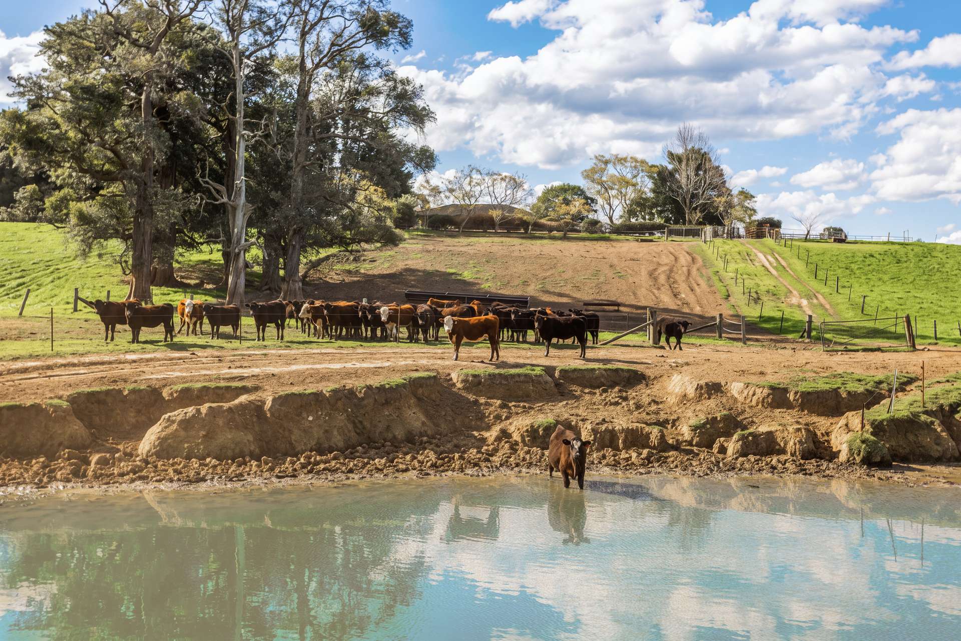 21 Croziers Road, Jaspers Brush For Sale by Farmbuy.com - image 16