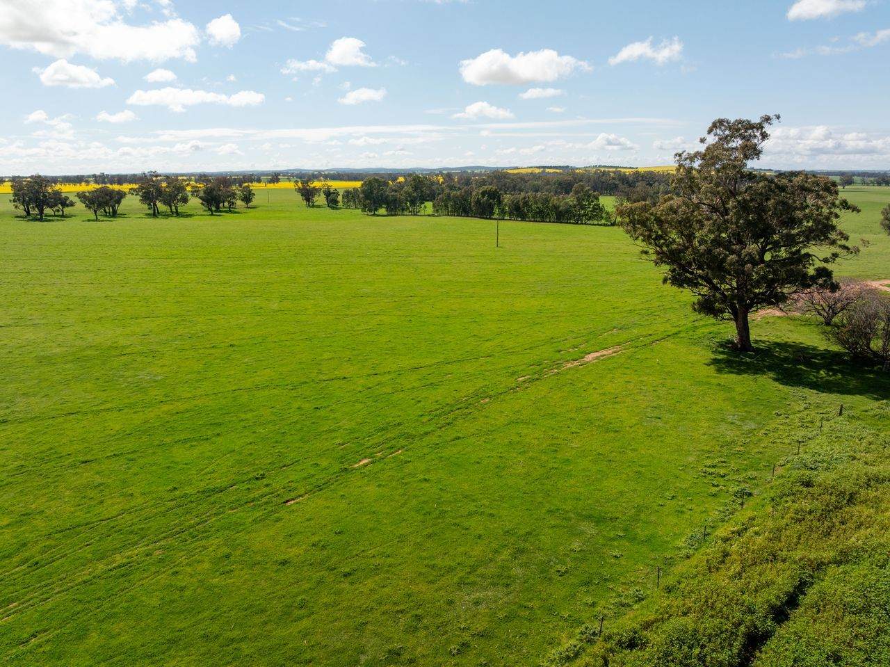 66 Noorla Lane, Erin Vale For Sale by Farmbuy.com - image 10