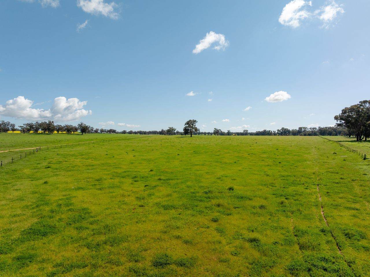66 Noorla Lane, Erin Vale For Sale by Farmbuy.com - image 31