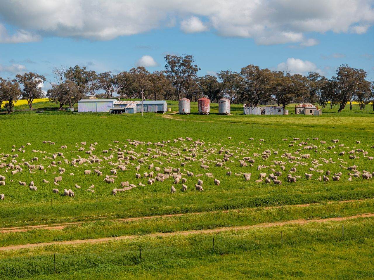 66 Noorla Lane, Erin Vale For Sale by Farmbuy.com - image 6