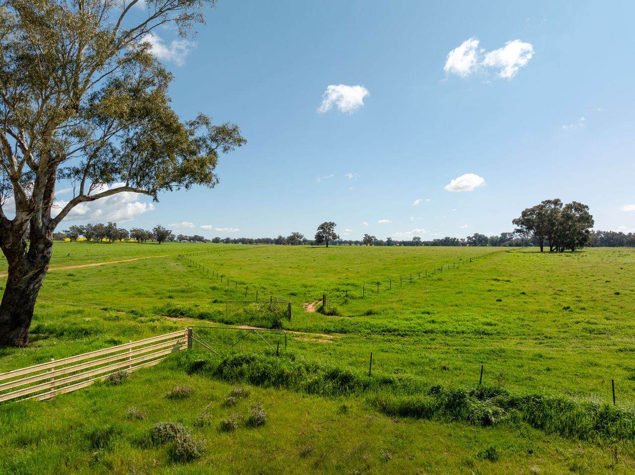 66 Noorla Lane, Erin Vale For Sale by Farmbuy.com - image 21