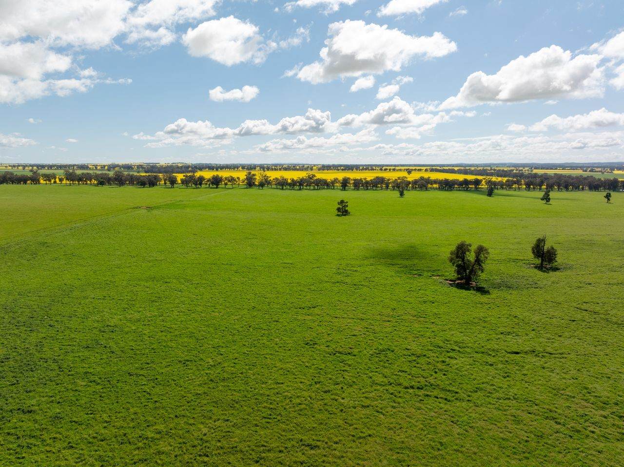 66 Noorla Lane, Erin Vale For Sale by Farmbuy.com - image 15