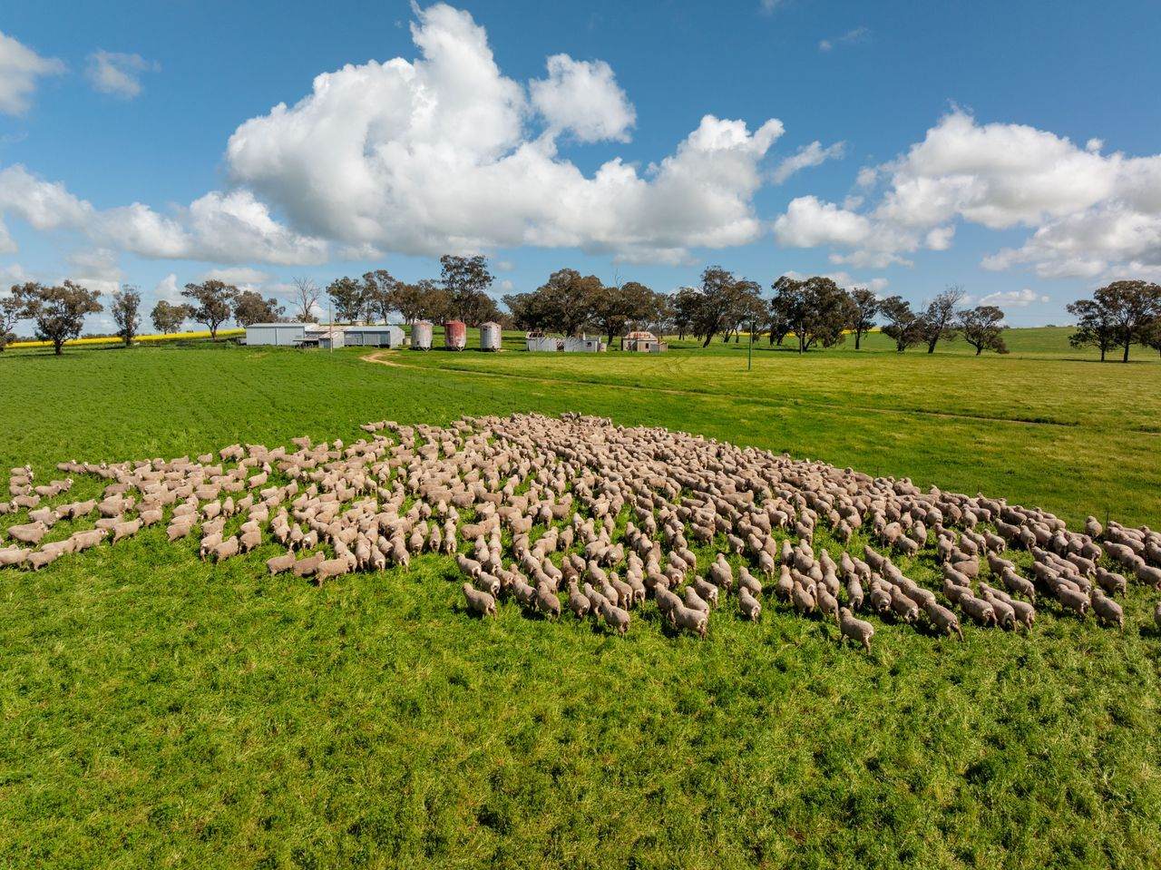 66 Noorla Lane, Erin Vale For Sale by Farmbuy.com - image 20