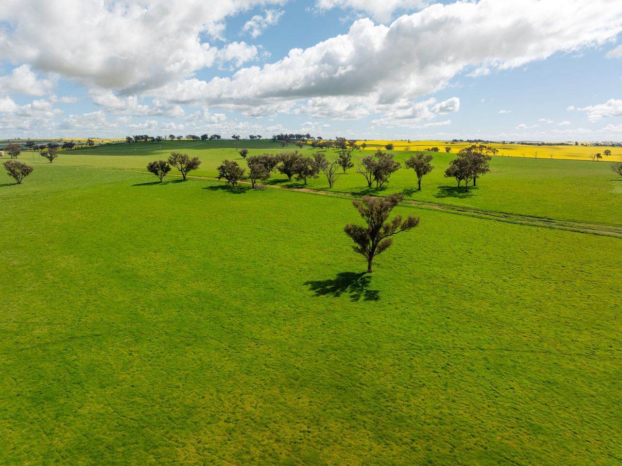 66 Noorla Lane, Erin Vale For Sale by Farmbuy.com - image 13