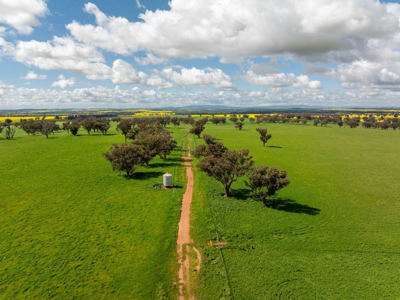 66 Noorla Lane, Erin Vale For Sale by Farmbuy.com - image 7