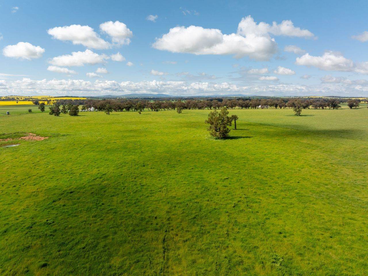 66 Noorla Lane, Erin Vale For Sale by Farmbuy.com - image 30