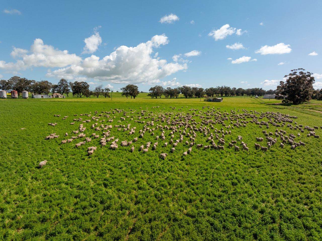 66 Noorla Lane, Erin Vale For Sale by Farmbuy.com - image 27