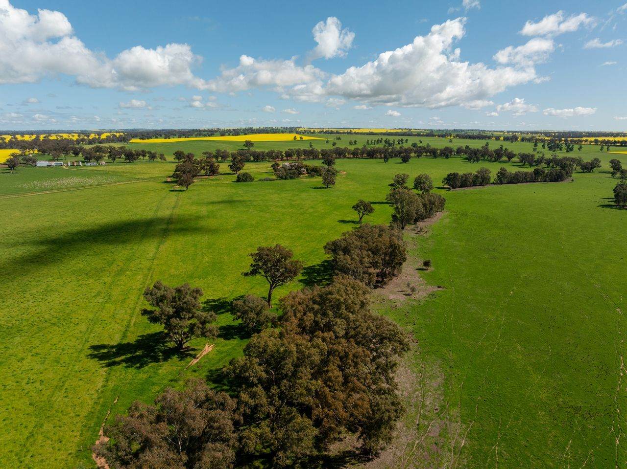 66 Noorla Lane, Erin Vale For Sale by Farmbuy.com - image 14