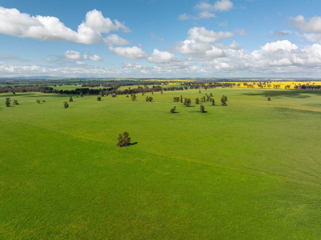 66 Noorla Lane, Erin Vale For Sale by Farmbuy.com - image 17
