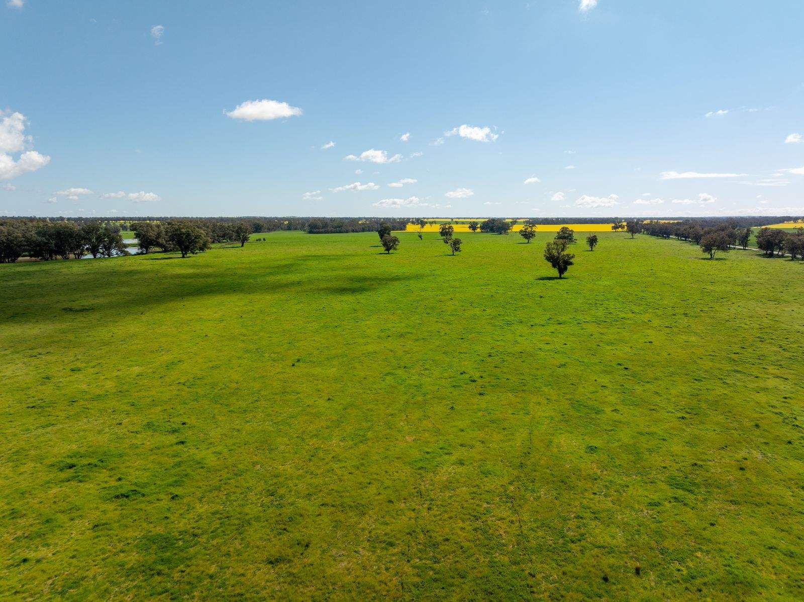 66 Noorla Lane, Erin Vale For Sale by Farmbuy.com - image 19