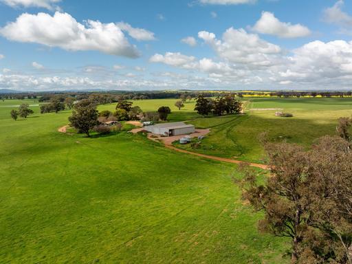 Farm For Sale - NSW - Erin Vale - 2663 - "NOORLA" 2356 acres Quality Mixed Farming (953.47 ha) Midway Temora-Junee 