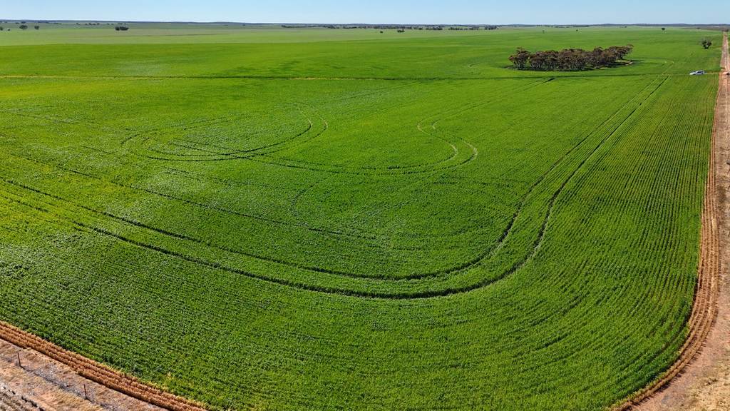 'Pearsons' & 'Kia' Manley & Burnell Road, Ouyen VIC 3490