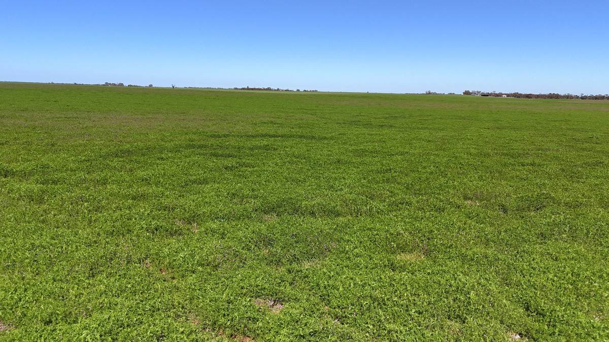 'Pearsons' & 'Kia' Manley & Burnell Road, Ouyen For Sale by Farmbuy.com - image 3