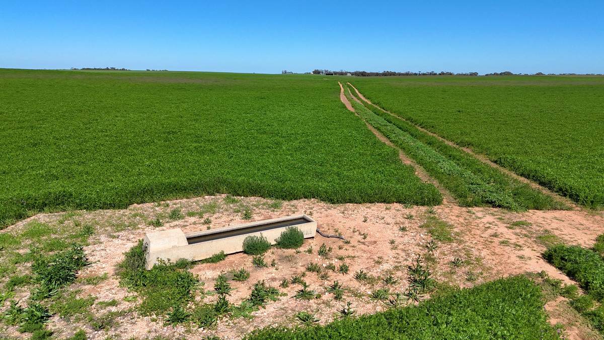 'Pearsons' & 'Kia' Manley & Burnell Road, Ouyen For Sale by Farmbuy.com - image 9