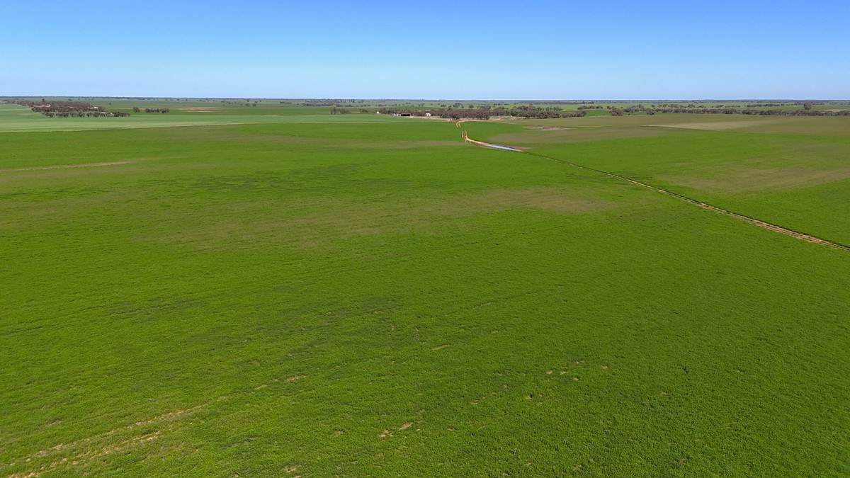 'Pearsons' & 'Kia' Manley & Burnell Road, Ouyen For Sale by Farmbuy.com - image 11