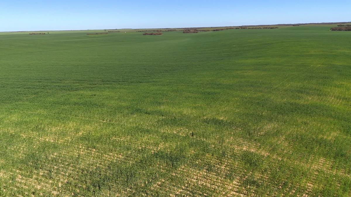 'Pearsons' & 'Kia' Manley & Burnell Road, Ouyen For Sale by Farmbuy.com - image 27