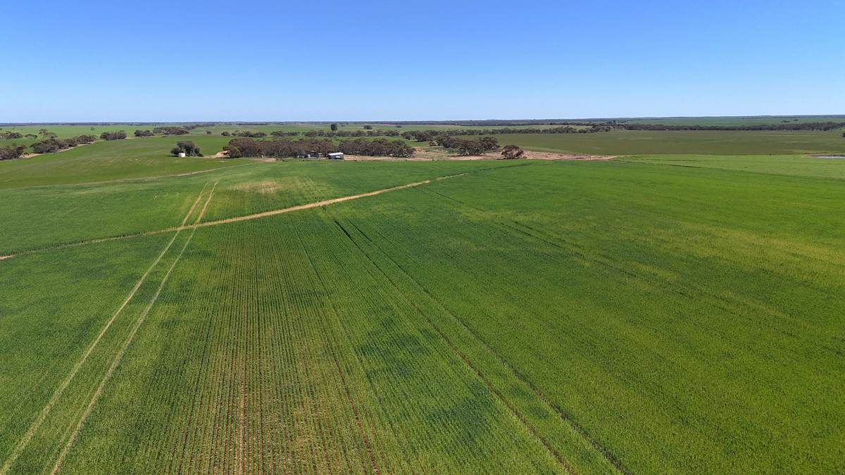 'Pearsons' & 'Kia' Manley & Burnell Road, Ouyen For Sale by Farmbuy.com - image 2