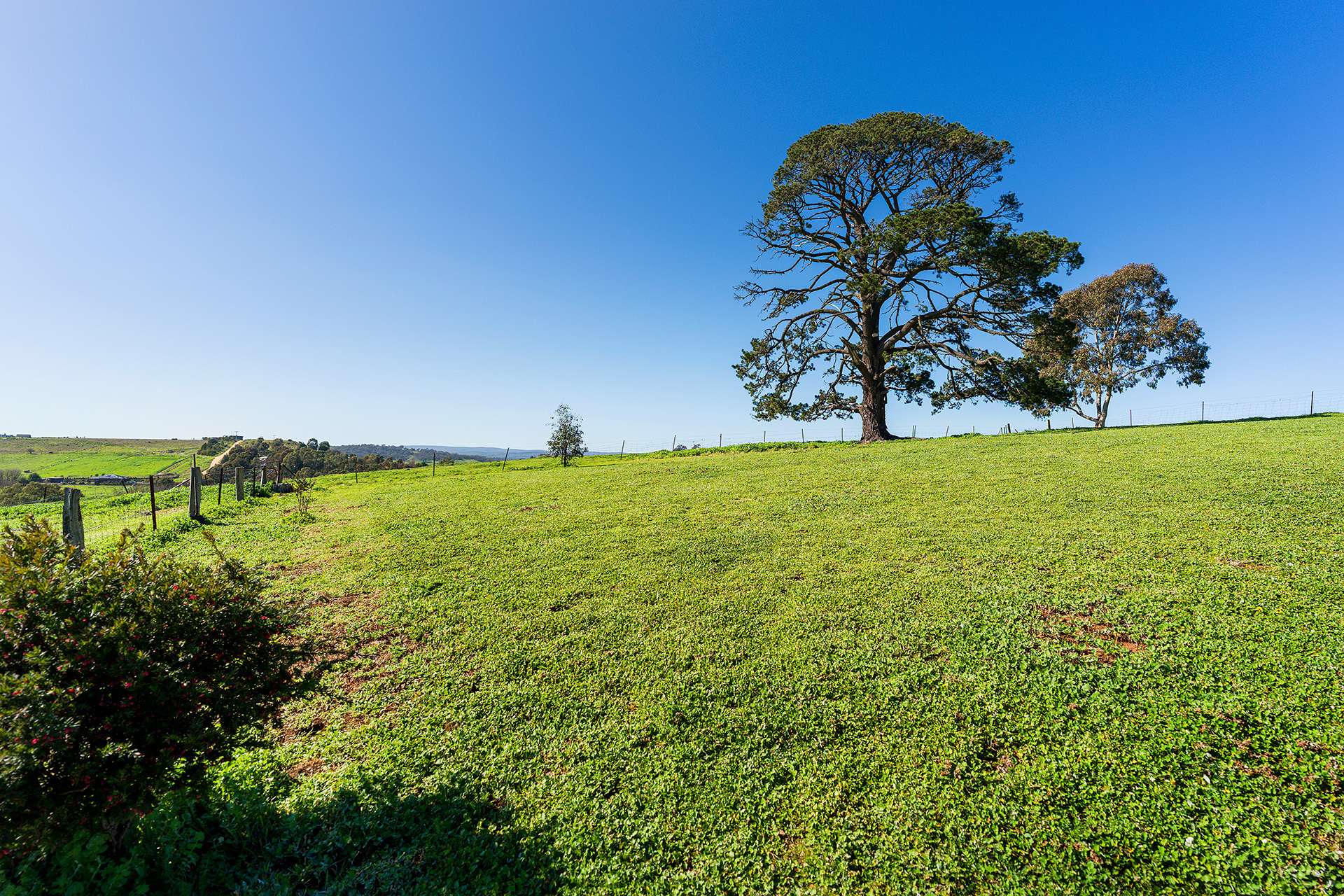 18 Franzi Street, Guildford For Sale by Farmbuy.com - image 17