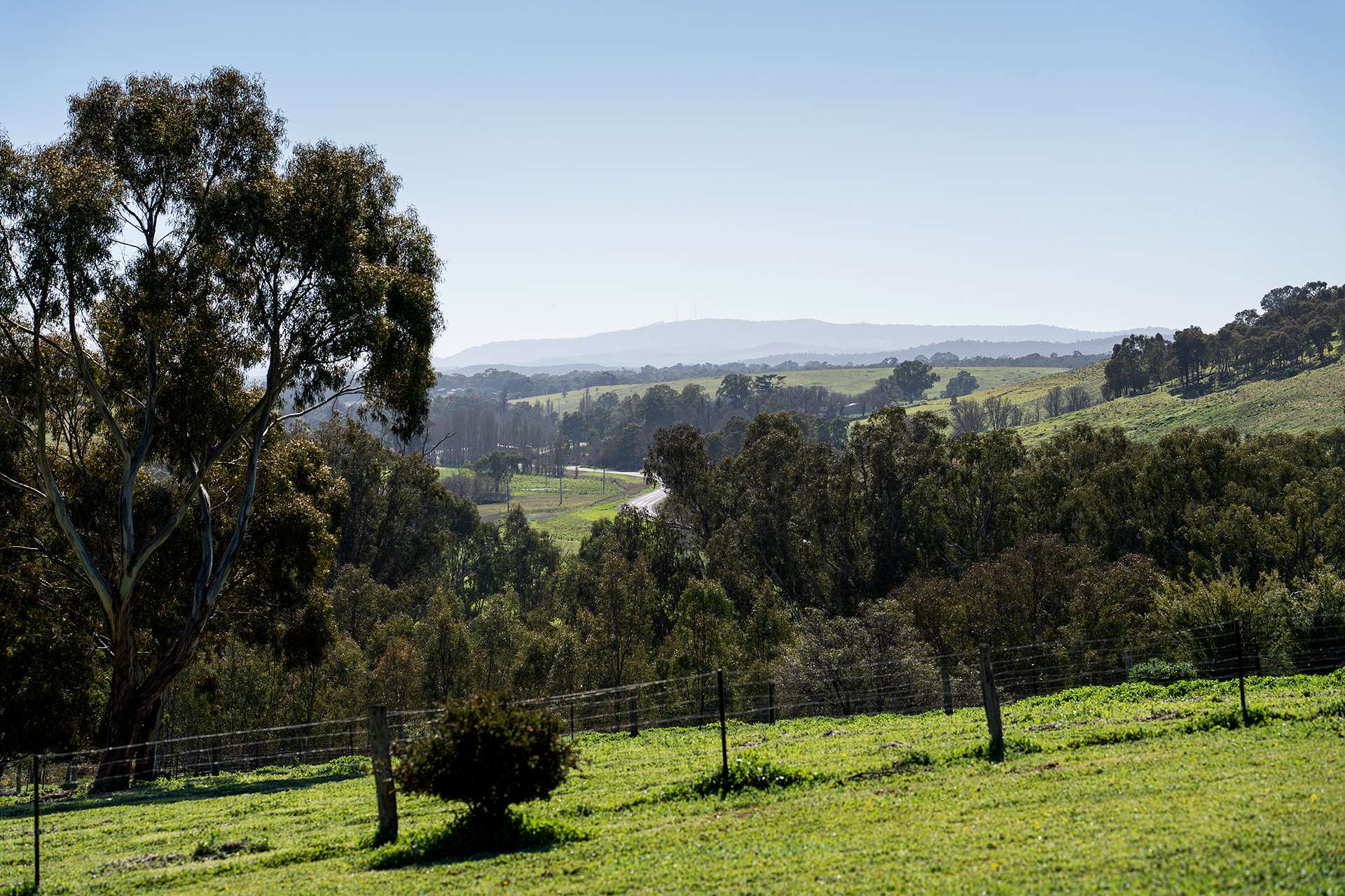 18 Franzi Street, Guildford For Sale by Farmbuy.com - image 7