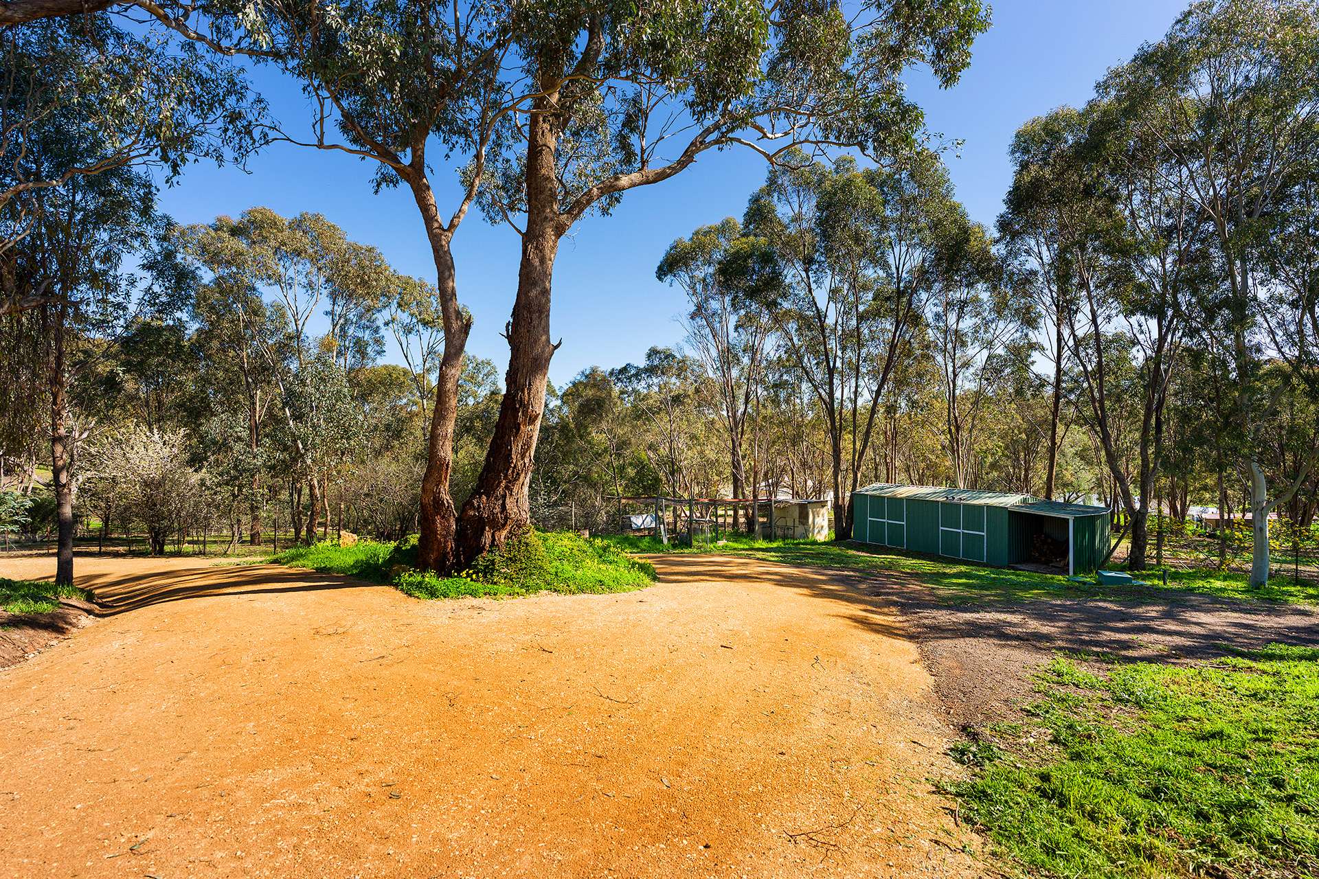 18 Franzi Street, Guildford For Sale by Farmbuy.com - image 18