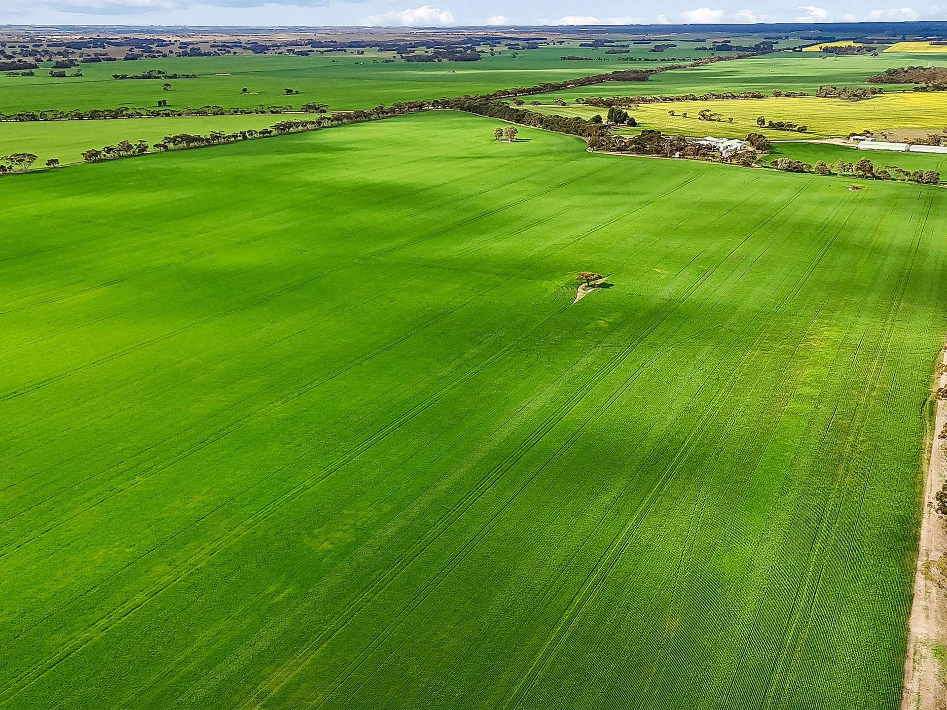146 Pascoe Road, Coonalpyn For Sale by Farmbuy.com - image 5