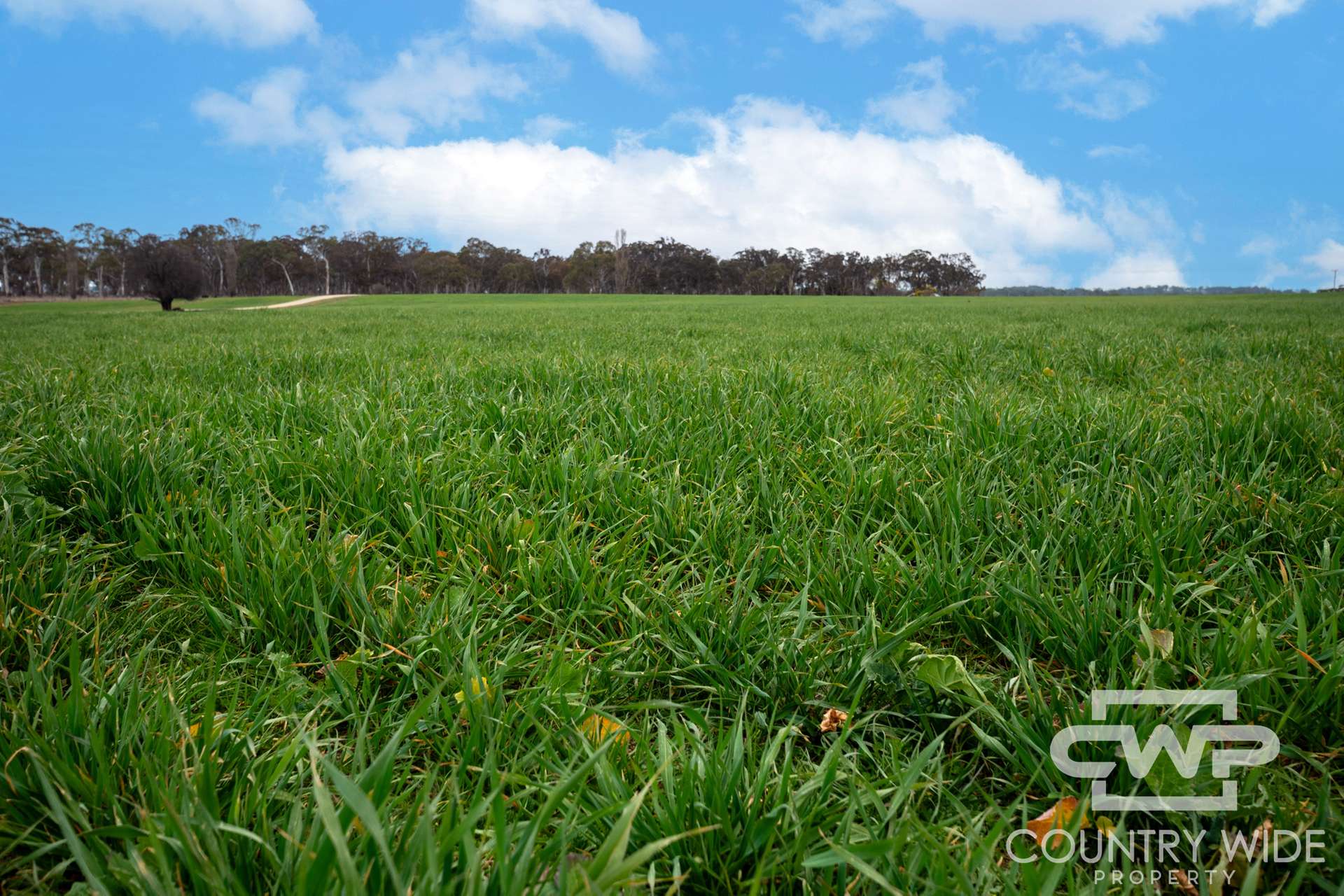 Lot Plain View, 916 Emmaville Road, Glen Innes For Sale by Farmbuy.com - image 7