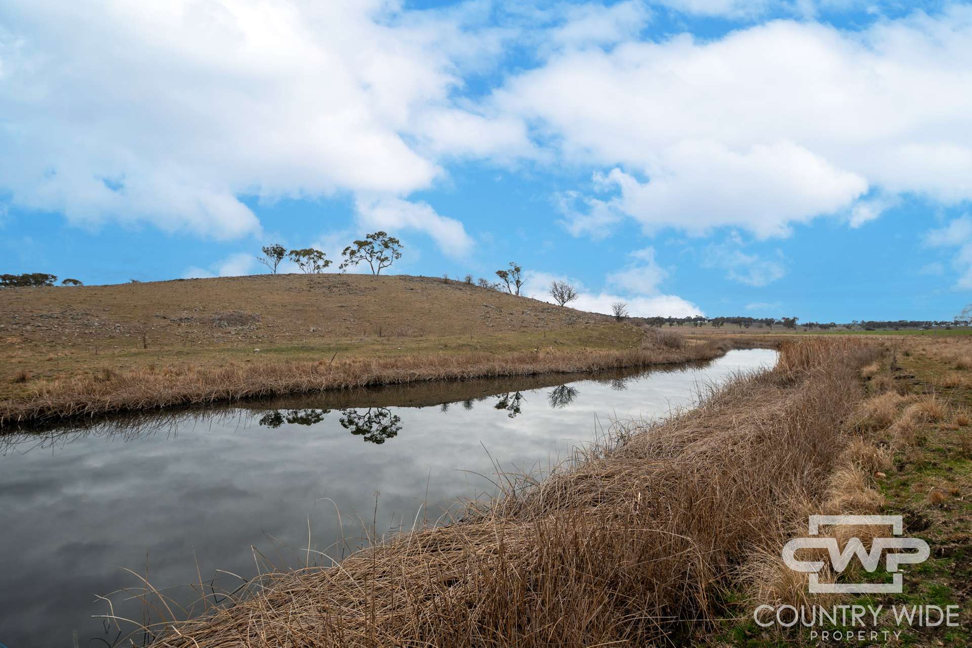 Lot Plain View, 916 Emmaville Road, Glen Innes For Sale by Farmbuy.com - image 19