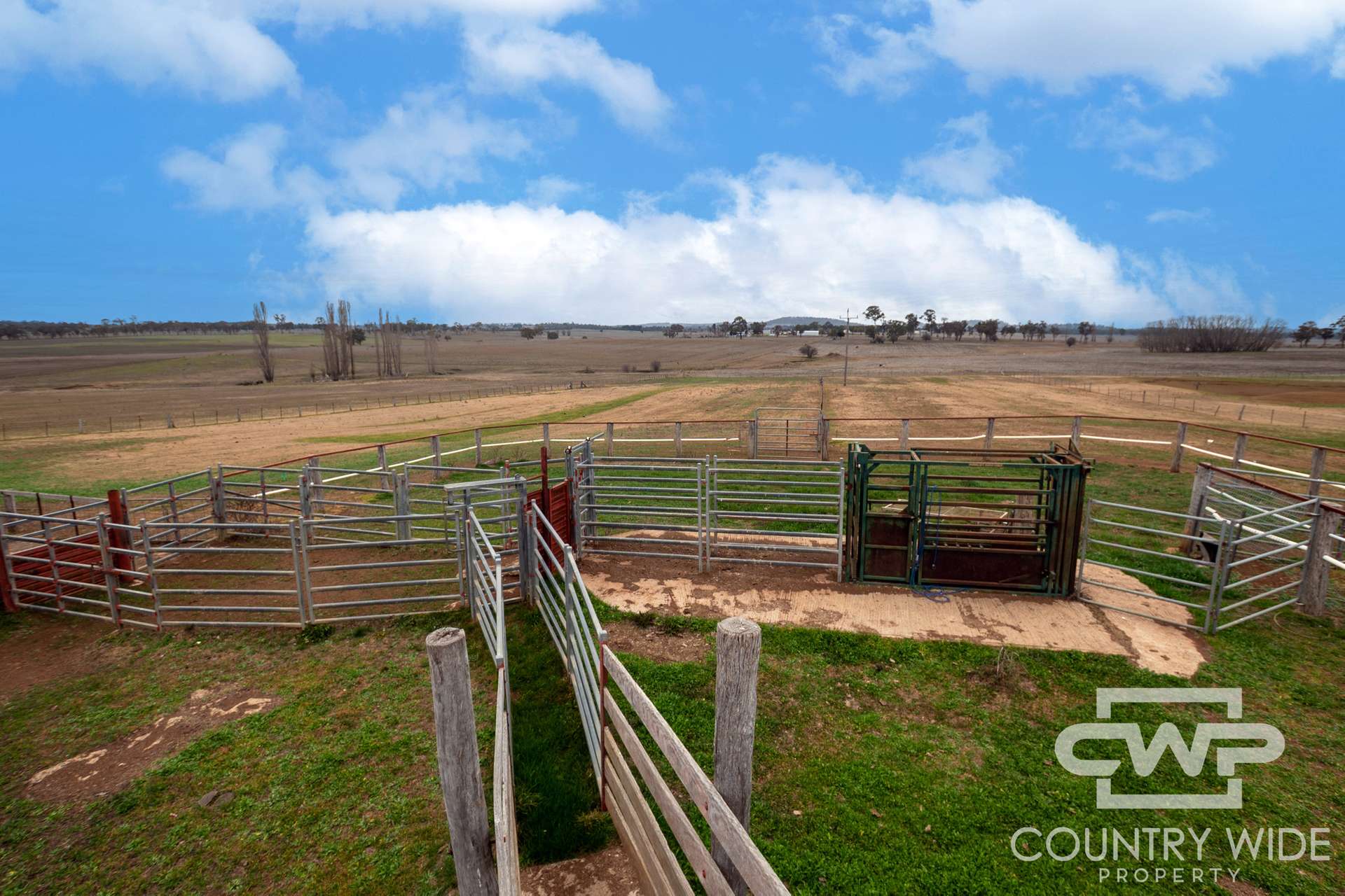 Lot Plain View, 916 Emmaville Road, Glen Innes For Sale by Farmbuy.com - image 25