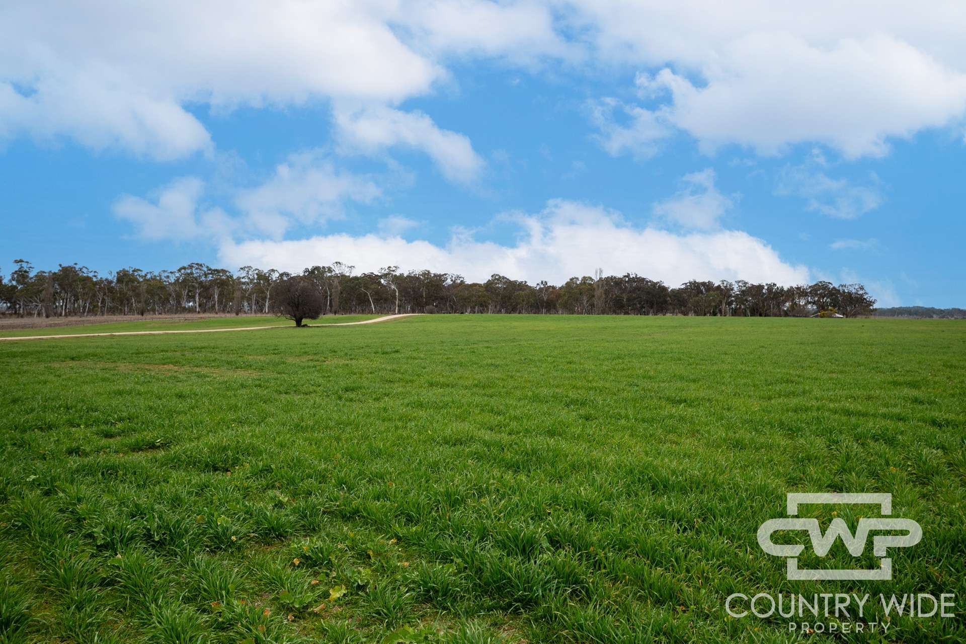 Lot Plain View, 916 Emmaville Road, Glen Innes For Sale by Farmbuy.com - image 2