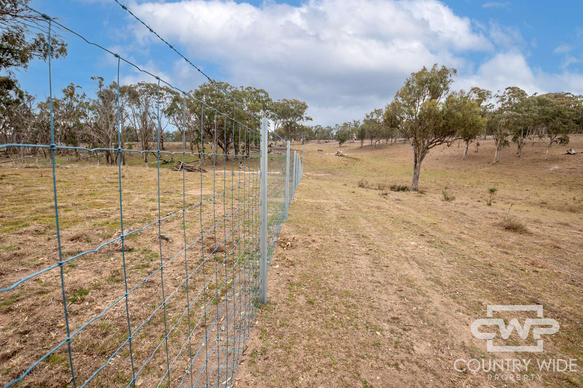 Lot Plain View, 916 Emmaville Road, Glen Innes For Sale by Farmbuy.com - image 15