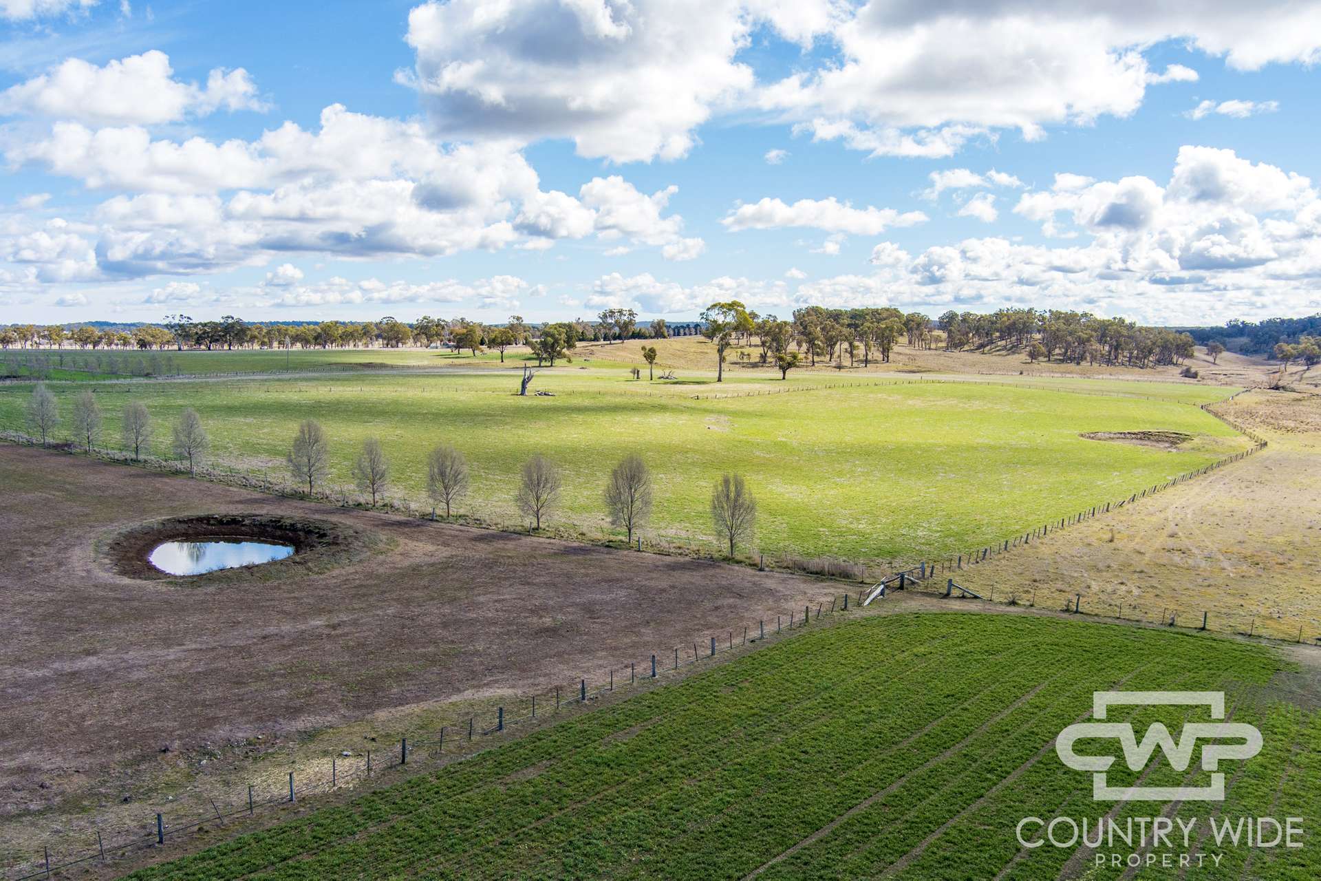 Lot Plain View, 916 Emmaville Road, Glen Innes For Sale by Farmbuy.com - image 33