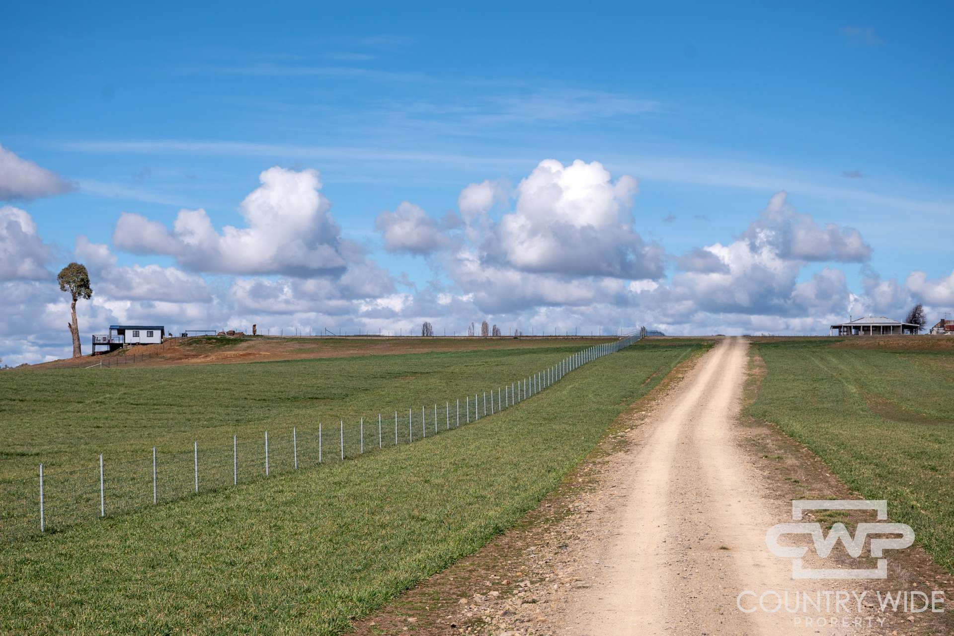 Lot Plain View, 916 Emmaville Road, Glen Innes For Sale by Farmbuy.com - image 7