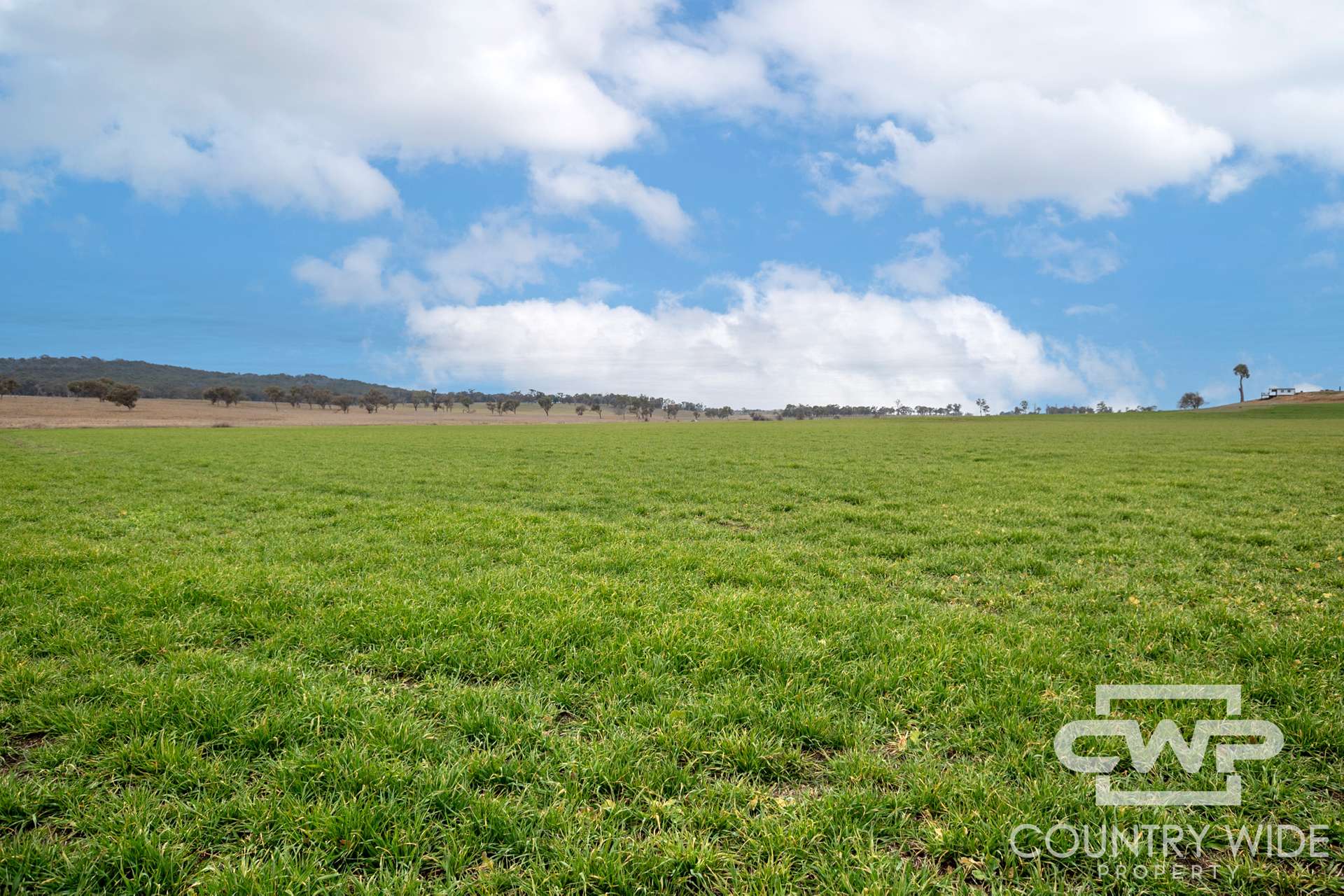 Lot Plain View, 916 Emmaville Road, Glen Innes For Sale by Farmbuy.com - image 21