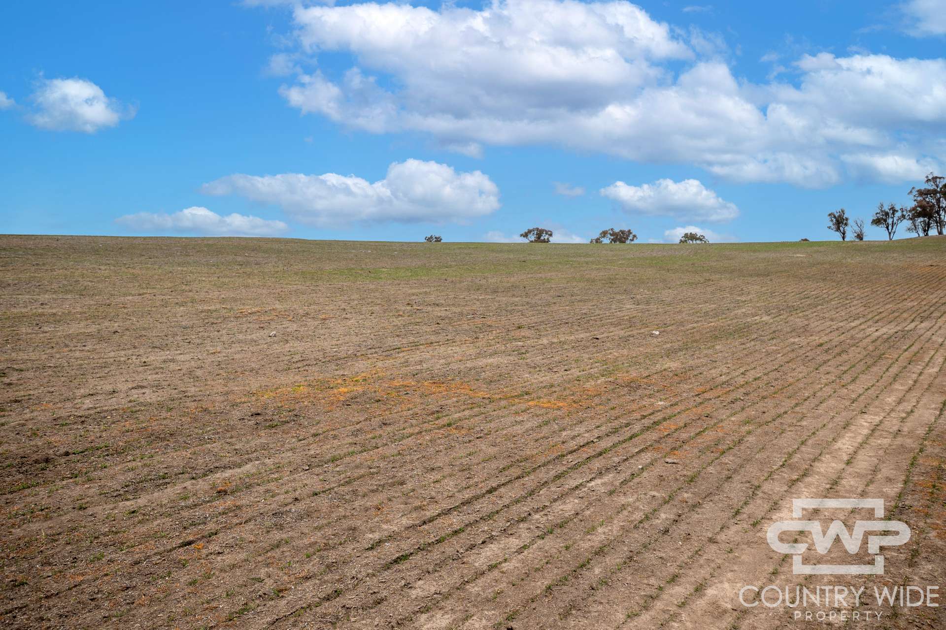 Lot Plain View, 916 Emmaville Road, Glen Innes For Sale by Farmbuy.com - image 20