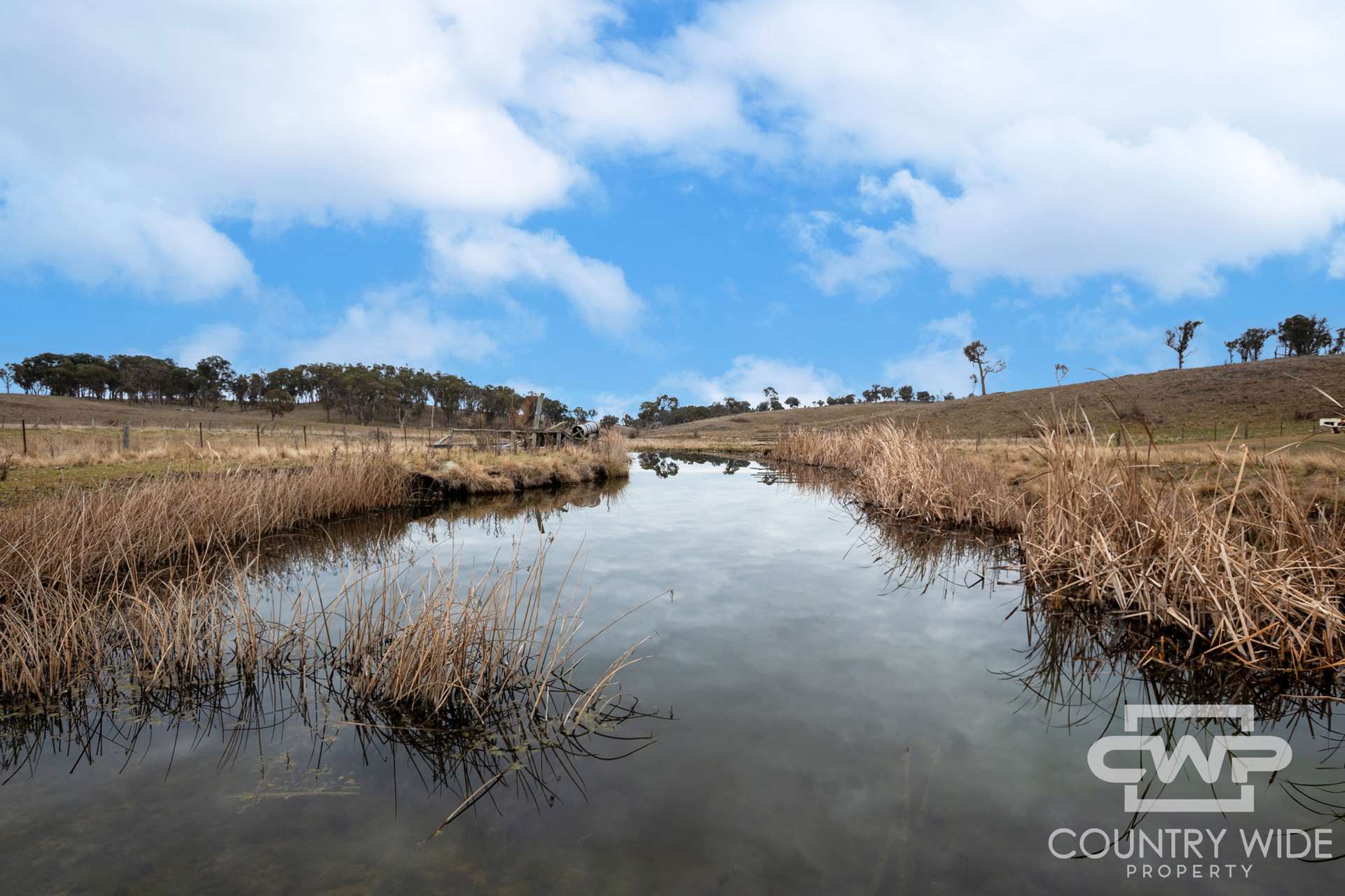 Lot Plain View, 916 Emmaville Road, Glen Innes For Sale by Farmbuy.com - image 18